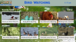 Bird Watching on Roku
