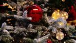 Christmas tree collection Roku screensaver