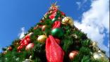 Christmas tree collection Roku screensaver