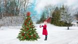 Christmas tree collection Roku screensaver