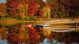 Fall Foliage Screensaver