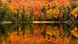 Fall Foliage Screensaver