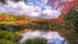 Fall Foliage Screensaver