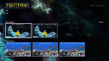 Fish Tank on Roku