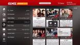 GLWiZ TV on Roku