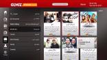 GLWiZ TV on Roku