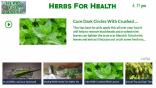 Herbs for Health on Roku