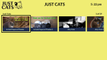 Just Cats on Roku