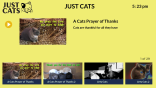 Just Cats on Roku