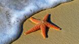Luxury Sand Roku Screensaver