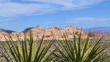 Red Rock Canyon Roku Screensaver