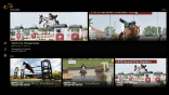 Showhorse TV on Roku 