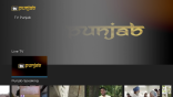 TV Punjab on Roku