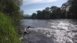 Virtual Rogue River on Roku