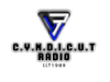 Cyndicut Radio on Roku