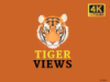 Tiger Views