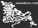 MultiLive (weedbox.net)