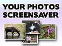 Your Photos Screensaver